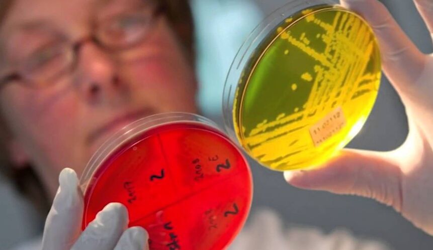 Diagnosis of parasites in the human body