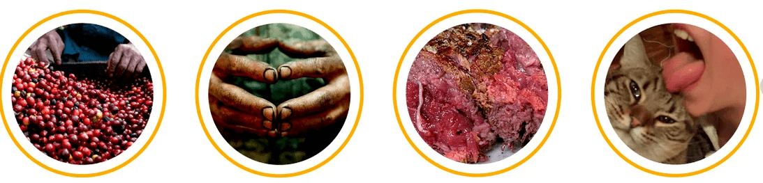 How parasites get into the body